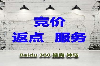 专业SEM托管服务，效果显著的案例展示